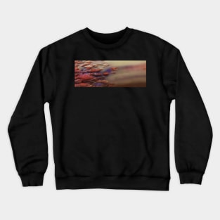 Fire Stone Crewneck Sweatshirt